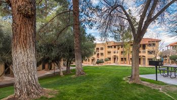 Courtyard with lush landscape